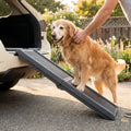 Ældre golden retriever går op ad foldbar hunderampe i en SUV
